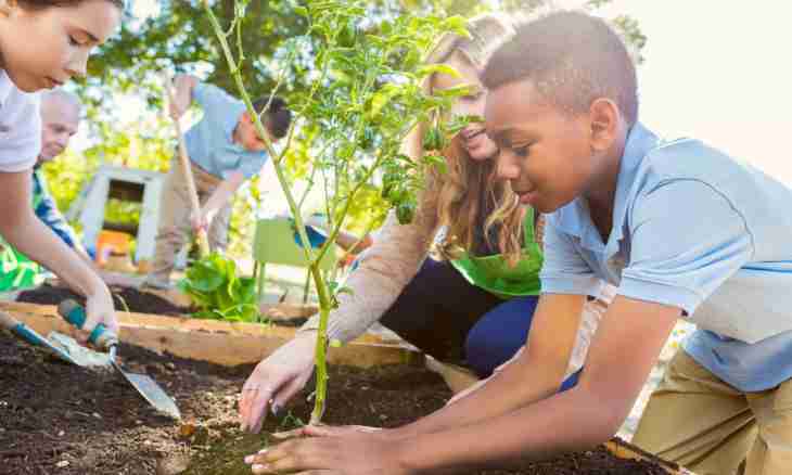 What documents the child needs to receive for a private garden